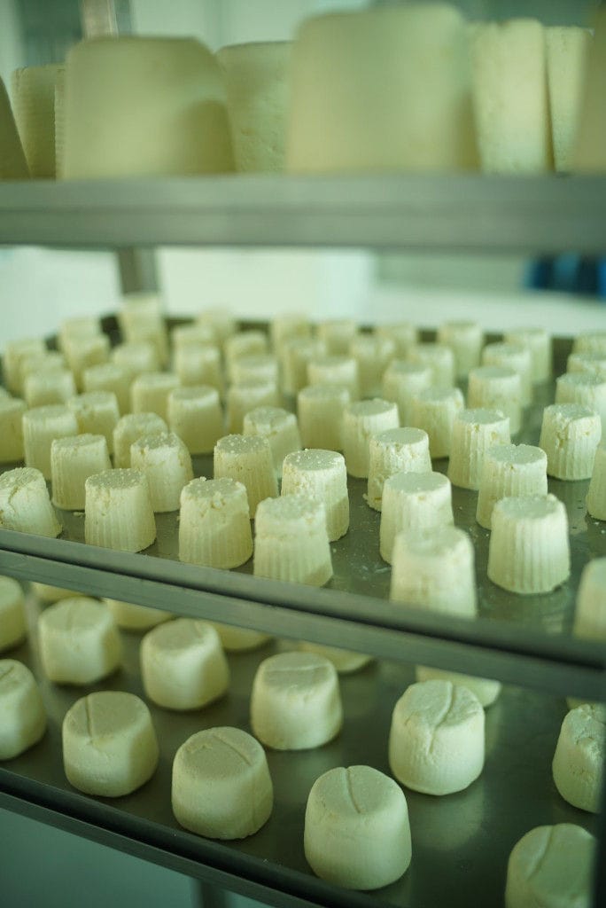 cheese balls on the aluminum shelves to be drying at 'Mykonos Farmers' plant